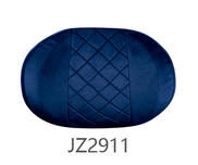 JZ2911